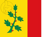 Bandera de Espinosa de Villagonzalo