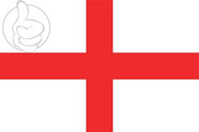 Bandera de La Almunia de Doña Godina