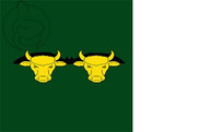 Bandera de Rocallaura