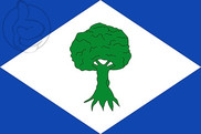 Bandera de Noceda del Bierzo