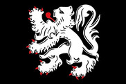Bandera de Binche Personalizada