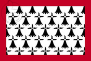 Bandera de Lemosín
