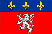 Bandera de Lyon