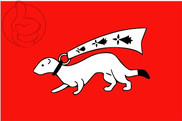Bandera de Vannes