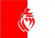 Bandera de Vandea