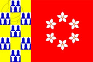 Bandera de Nava