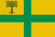 Bandera de Verea