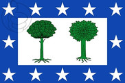 Bandera de Valdesimonte