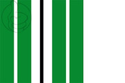 Bandera de Sant Martí de Torroella