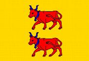 Bandera de Béarn