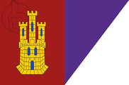 Bandera de Castilla la Mancha y Daimiel