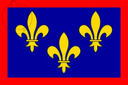 Bandera de Anjou