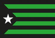 Bandera de Estelada Negra y Verde
