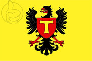 Bandera de Toul