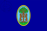 Bandera de Vrsara