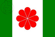Bandera de Taiwán independentista