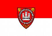 Bandera de Sopron