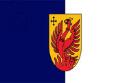 Bandera de Dagda