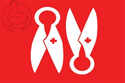Bandera de Boras