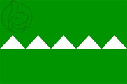 Bandera de Salinas