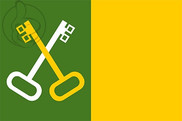 Bandera de Toa Baja