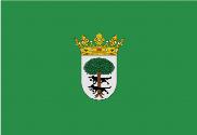 Bandera de Llodio