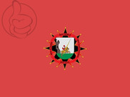 Bandera de Arévalo