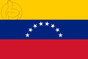 Bandera de Venezuela 8 estrellas sin escudo