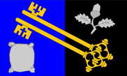 Bandera de Surrey