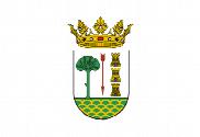 Bandera de Artziniega
