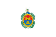Bandera de Elche/Elx
