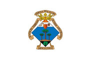 Bandera de Pinós, el/Pinoso
