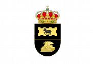 Bandera de San Martín de la Vega del Alberche