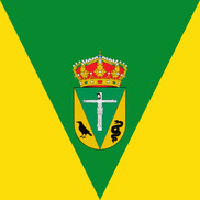 Bandera de San Vicente de Arévalo