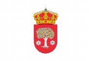 Bandera de Alburquerque