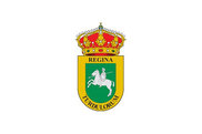 Bandera de Casas de Reina