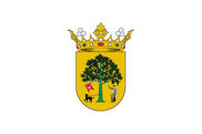 Bandera de Villanueva del Fresno