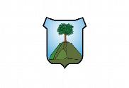 Bandera de Puigpunyent