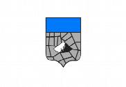 Bandera de Salines, Ses