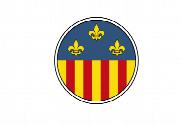 Bandera de Sant Lluís