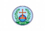 Bandera de Selva