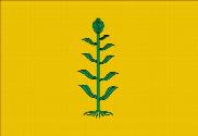 Bandera de Canyelles
