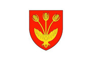 Bandera de Cardona