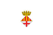 Bandera de Manresa