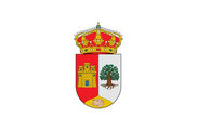 Bandera de Carcedo de Burgos