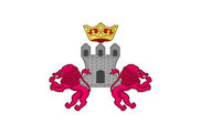Bandera de Condado de Treviño