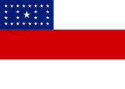 Bandera de Amazonas