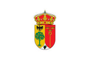 Bandera de Quintana del Pidio