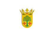 Bandera de Sacañet