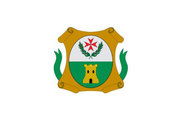 Bandera de Puerto Lápice